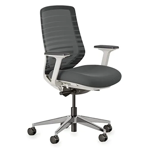 Branch Ergonomic Chair